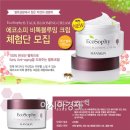 비블루밍 아시아경제