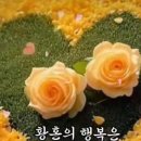♤연꽃잎의 지혜♧ 이미지