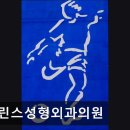 프린스성형외과의원