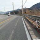신리할머니 Daum카페