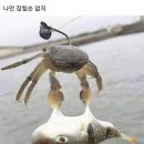 다잡 - 시흥시 수인로3465번길 60 | 다잡