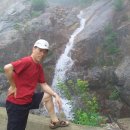 진고개민박 이미지