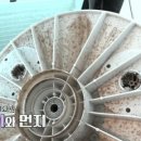 청춘청소 이미지