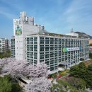 연제 이미지
