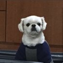 해성동물병원 이미지