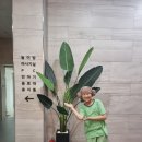 금강산보석사우나 이미지