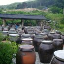 치악싸리골된장