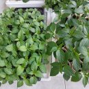 배란다에서 이미지