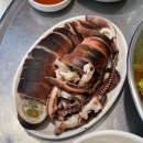 [상도] 수요미식회 맛집 “상도실내포장마차” 방문 후기 | 오징어 물회, 오징어 통찜 맛집!
