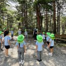 삼척동자 유아숲체험원 이미지