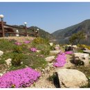 강천산 나비잠 이미지