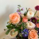 사림동200 이미지