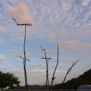 소생한의원 이미지