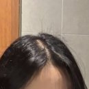 뿌리네 애견샵 | [송도 미용실] 직열뿌리펌 찐 맛집 - 17년 경력 원장님 ‘샵온무드’ 솔직 리뷰