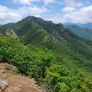 치악산약국