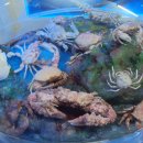 땅끝해양자연사박물관 이미지