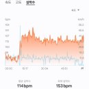 실외자전거 250511 :: 2025 서울 자전거대행진 프리라이딩 완주 후기