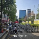 커피에 빠진 캣츠 이미지
