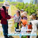 별꽃농장 | 동탄 아이와 가볼만한 곳 아이고고 유아숲체험 숲파티포레 7살 후기 (동탄호수공원)
