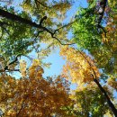 나만의 손뜨개 이미지