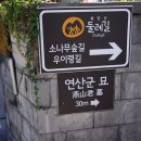 산길따라 이미지