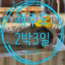 신화발전기 | BTS 고등어 쌈밥, 9.81파크 카트, 항아리 티라미수, 신화월드 모모쥬 동물원 카피바라 후기 (2일차-1편)