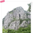 삼남목장 이미지