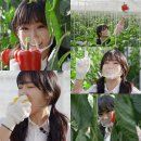 이유리농장 이미지