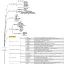 향후 10년후의 유망직종들을 마인드맵으로 정리 이미지