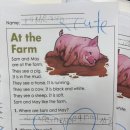 💙At the farm reading comprehension&amp;What time is it&amp;Daily routine💙 이미지