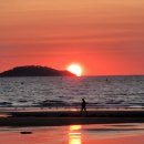 아일랜드리솜 이미지