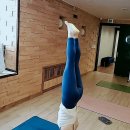 요가(기초야간) | 부천요가로 찾는 균형과 활력의 시간