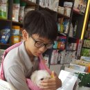 에이블 동물병원 이미지