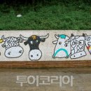 화순전통시장 이미지