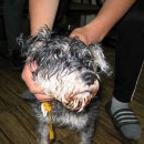 연서 동물병원 이미지