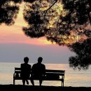 장수자농장 이미지