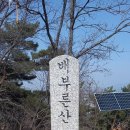 배부른산[원주2023.3.22] 이미지