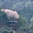 화원의 부심 가득한 통갈매기살을 맛보다. - 대구 화원 명천숯불갈비