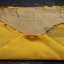 위험한studio 이미지