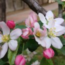 대법 정보 입수 &#34;이재명 무죄 확정&#34;.. 맞수토론 홍준표 완패, 그런데 이긴거 같은 이 느낌은 뭐죠~ 이재명 캠프 대변인 같은 파란 옷 이미지