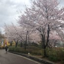 동숭어린이집 이미지