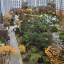 (주)신행건설 | [일상] 카우룽카우룽 🍂