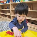 아이사랑몬테소리 어린이집 | 설리반어린이집 몬테소리 수업🌱 아이들이 스스로 해내는 놀라운 변화