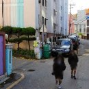 호현로387번길 Daum카페
