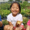 아산흰돌유치원 이미지