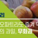 반한과일 이미지