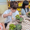 송림초등학교(병설) 이미지