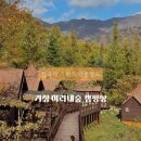 미리내마을 | 거창 미리내숲| 경남의 스위스 단풍명소 캠핑장 (24.11.7.방문)‘남두육성’ 방갈로 후기