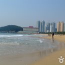 해운대해수욕장 이미지