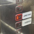 방배동 935빌딩 | 준오헤어 내방역점 채원 디자이너와 함께한 체스넛 브라운 전체염색 후기